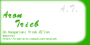 aron trieb business card